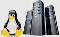 Linux web hosting bangalore